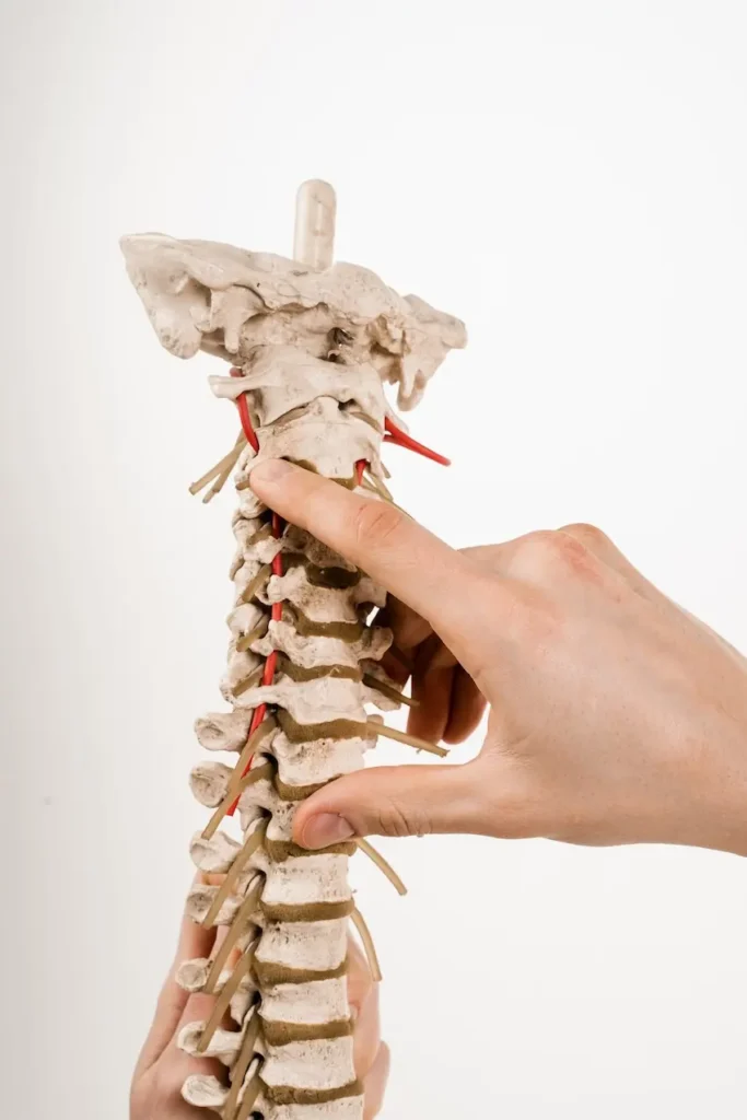 Medical diagram showing herniated disc and soft tissue injury commonly missed after car accident